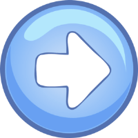 Next Section Button
