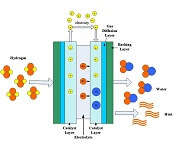 Fuel Cell Modeling Basics