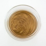 Gold SOFC Ink (Au) - 10 grams