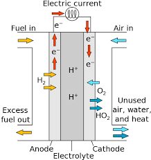 Transport of Electrons through the Fuel Cell